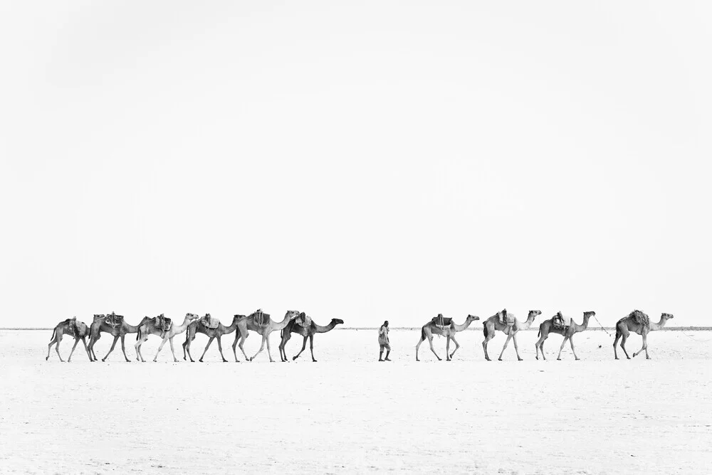 Camel caravan - fotokunst von Photolovers .