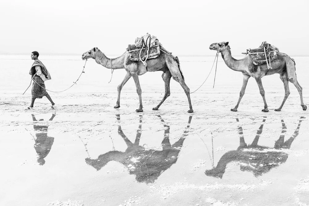 Man with his camels - fotokunst von Photolovers .