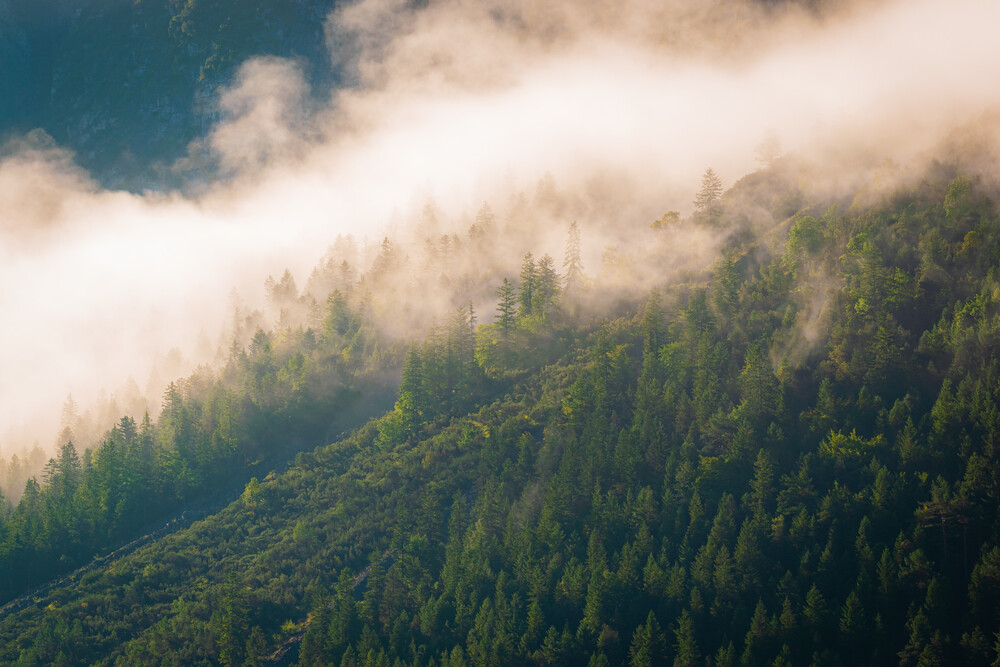 Summer Fog in the Alps - Fineart photography by Martin Wasilewski