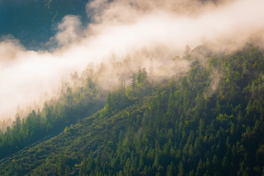 Sommernebel in den Alpen - fotokunst von Martin Wasilewski