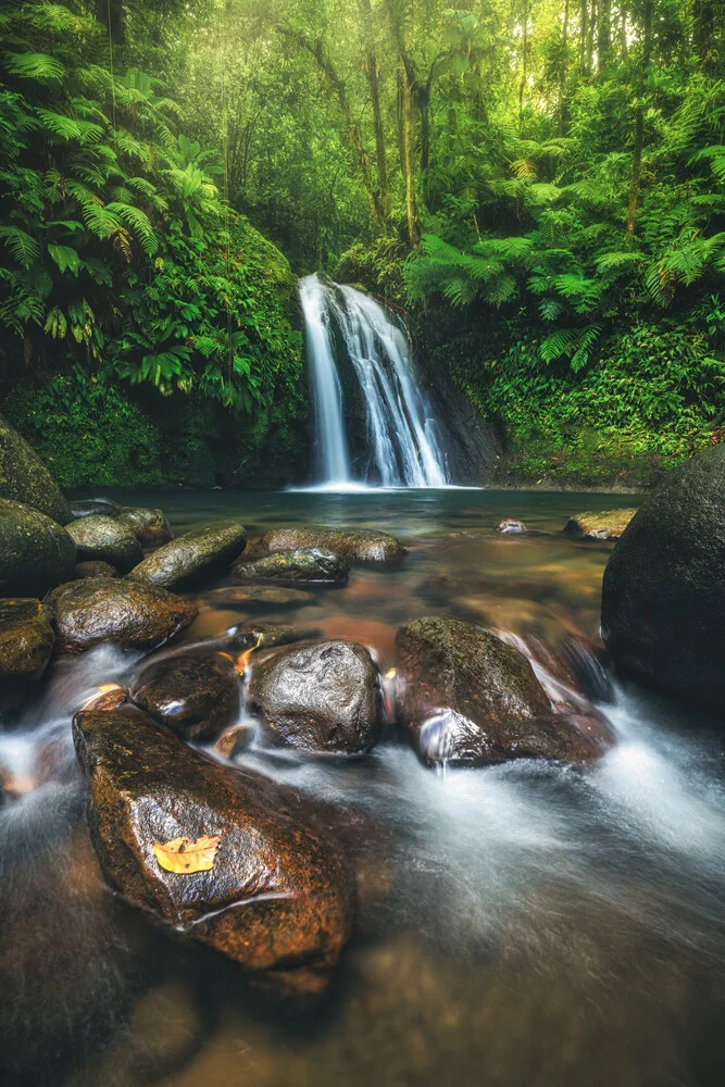 Guadeloupe Cascade des Écrevisses Wasserfall - fotokunst von Jean Claude Castor