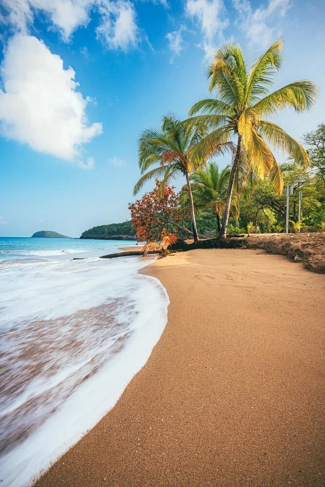 Guadeloupe Strand Plage de la Perle - fotokunst von Jean Claude Castor