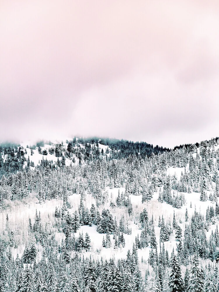 Snow Season - Fineart photography by Uma Gokhale