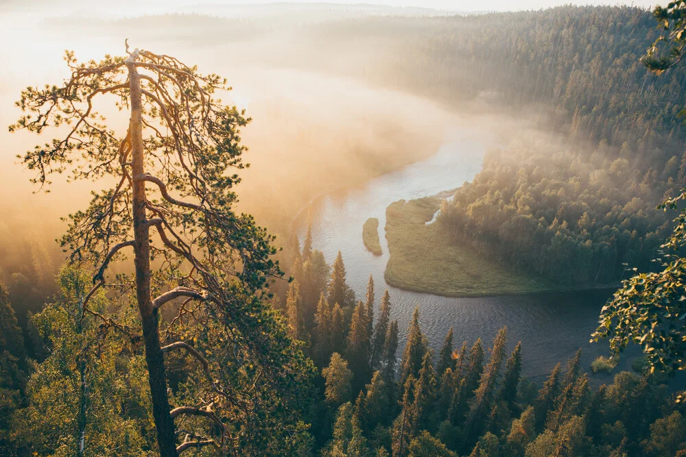 Flusslauf im Sonnenaufgang in Oulanka National Park, Finland - fotokunst von Philipp Heigel