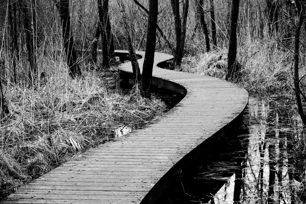 The road to nowhere - fotokunst von Photolovers .