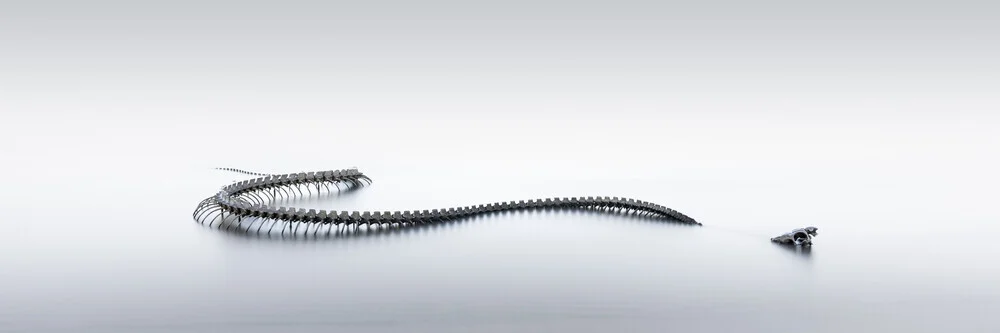 Serpent d'Ocean​ | Saint Nazaire - Fineart photography by Ronny Behnert