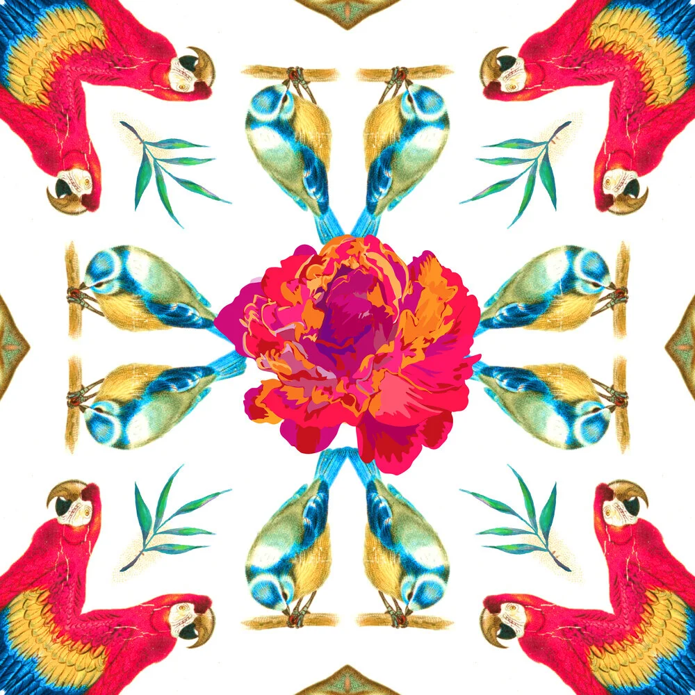 Tropical Scarlet Macaw Mandala - fotokunst von Uma Gokhale