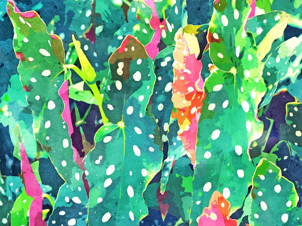 Polka Dots Tropical Plant - fotokunst von Uma Gokhale
