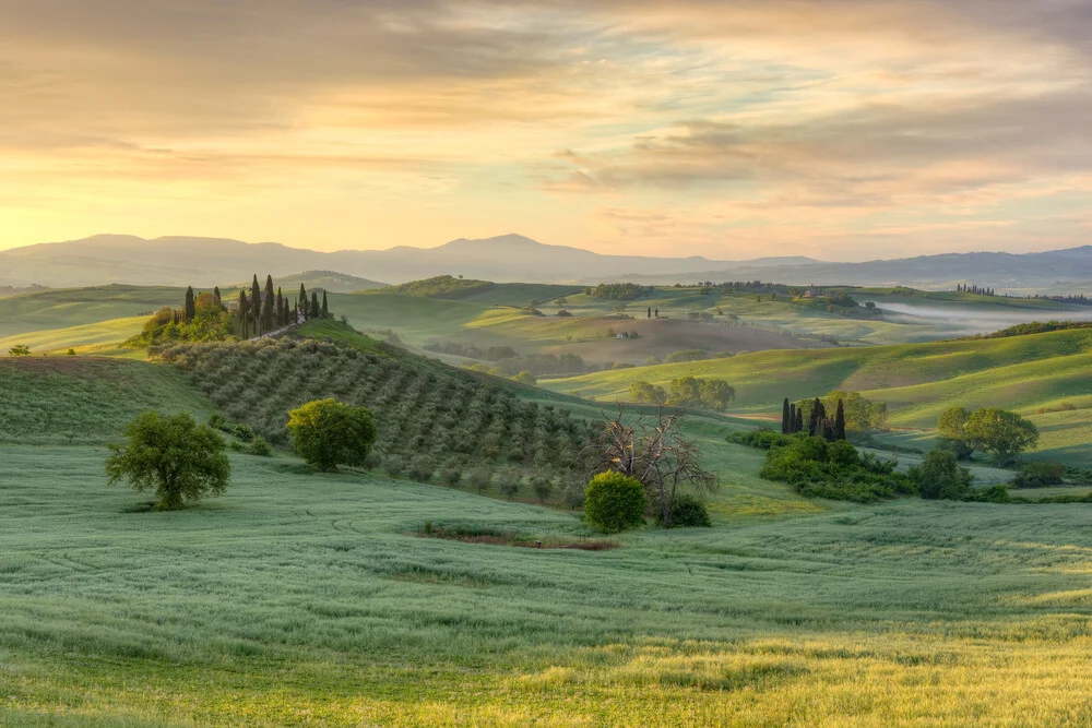 Tuscany in the early morning light - Fineart photography by Michael Valjak