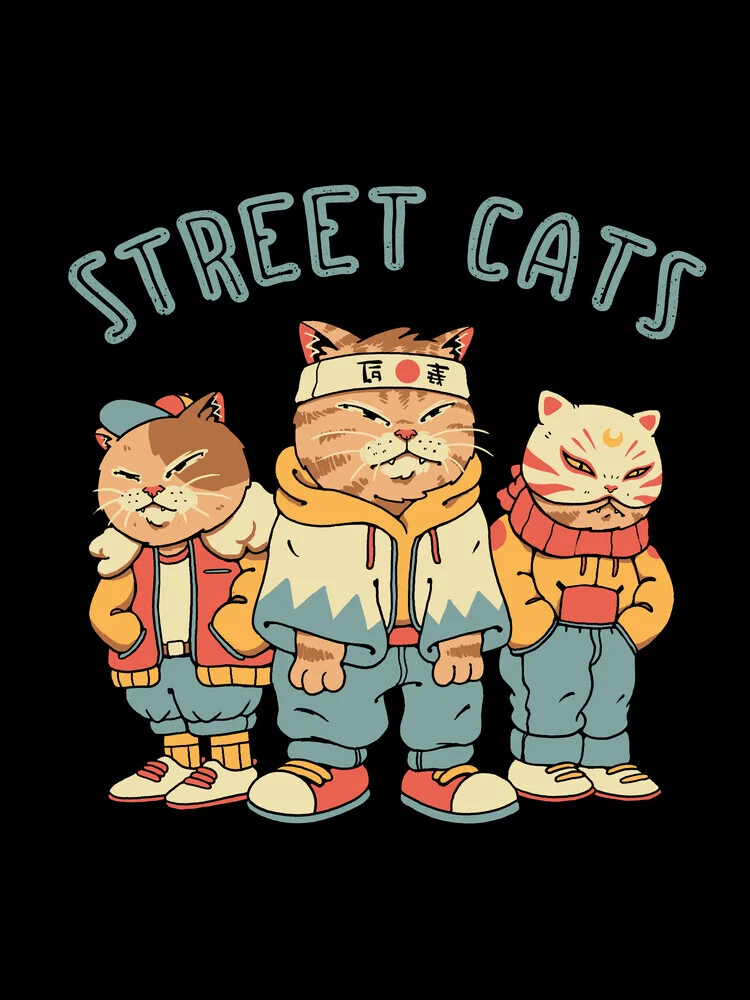 Street Cats - fotokunst von Vincent Trinidad Art