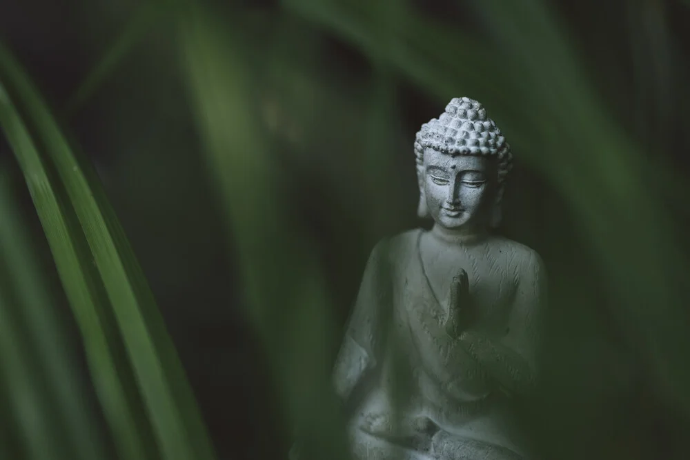 Buddha im Gras - fotokunst von Nadja Jacke