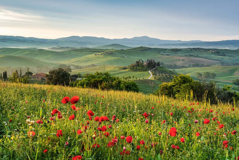 Frühling in der Toskana - fotokunst von Michael Valjak