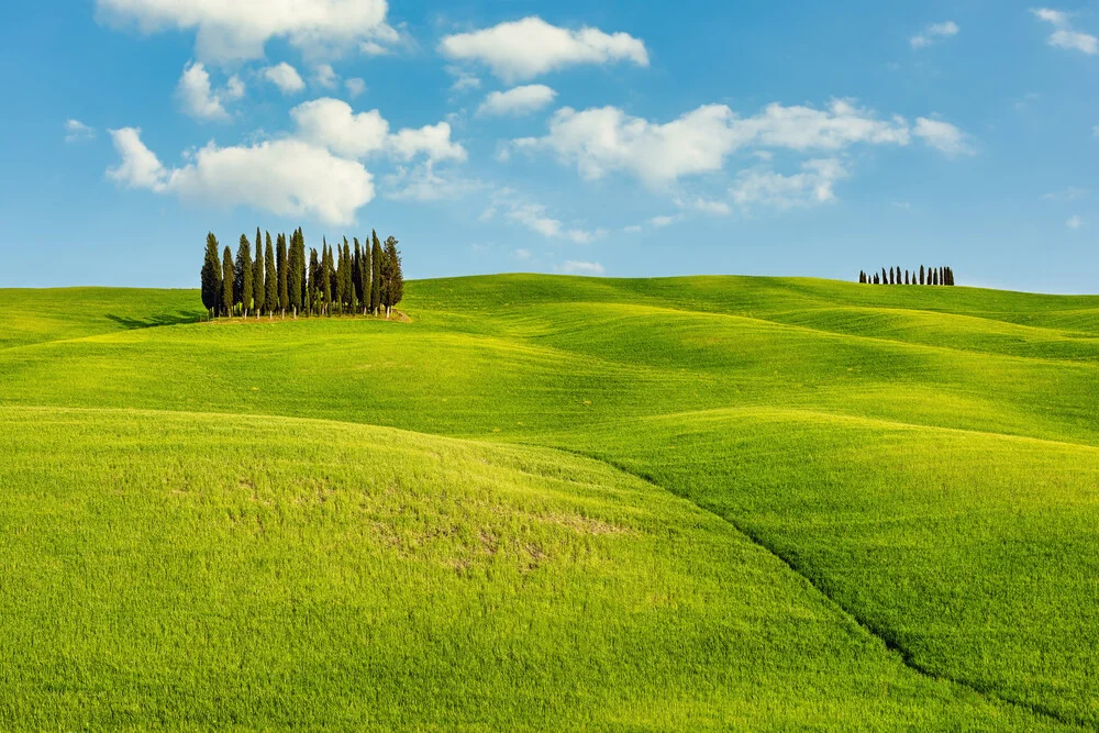 Hügellandschaft in der Toskana - fotokunst von Michael Valjak