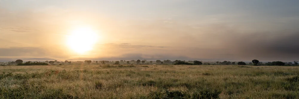 Panorama sunrise Ishasha Sector - Queen Elisabeth National Park Uganda - fotokunst von Dennis Wehrmann