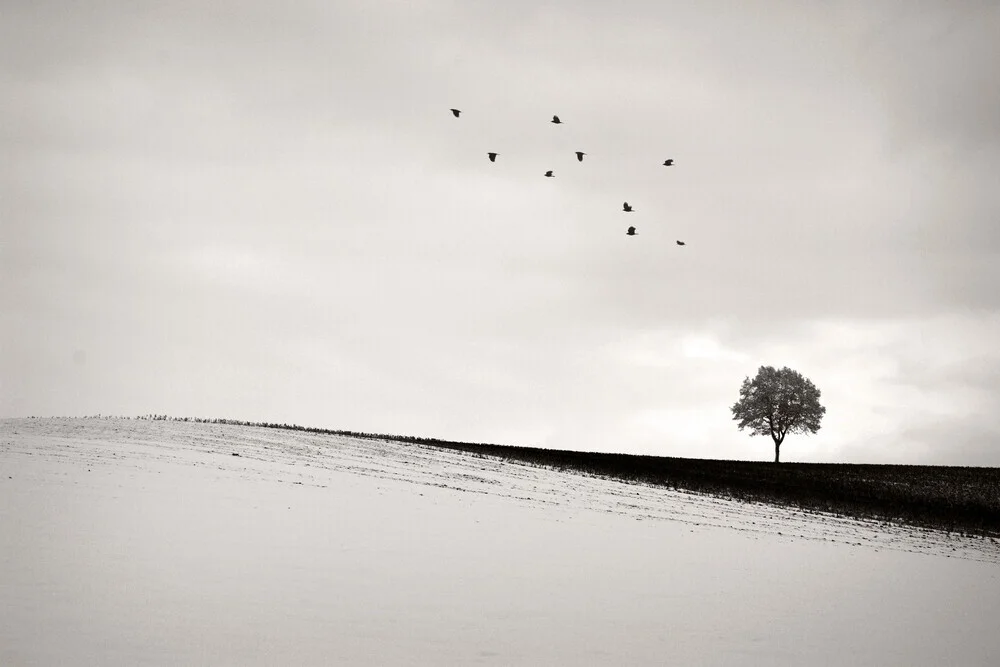 Lone Tree - fotokunst von Lena Weisbek