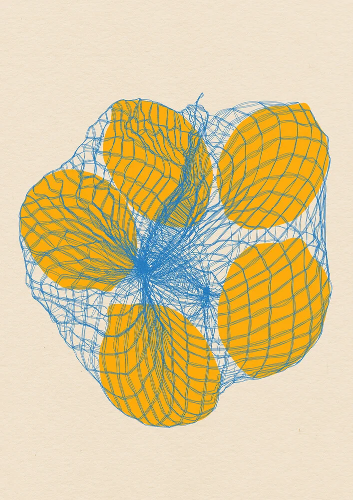 Five lemons in a net bag - fotokunst von Rosi Feist