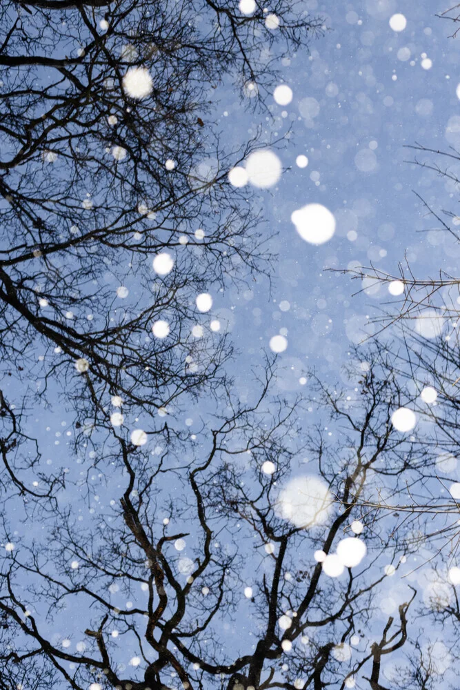 Baumkronen im Schnee - fotokunst von Anke Dörschlen