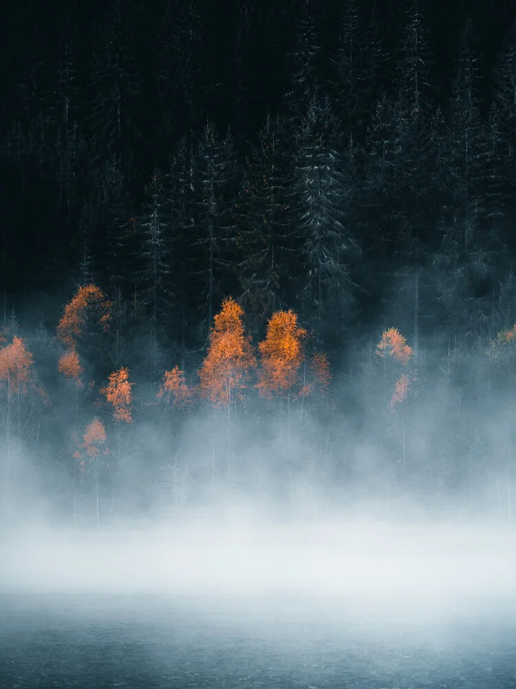 Glühende Bäume - fotokunst von Jan Pallmer