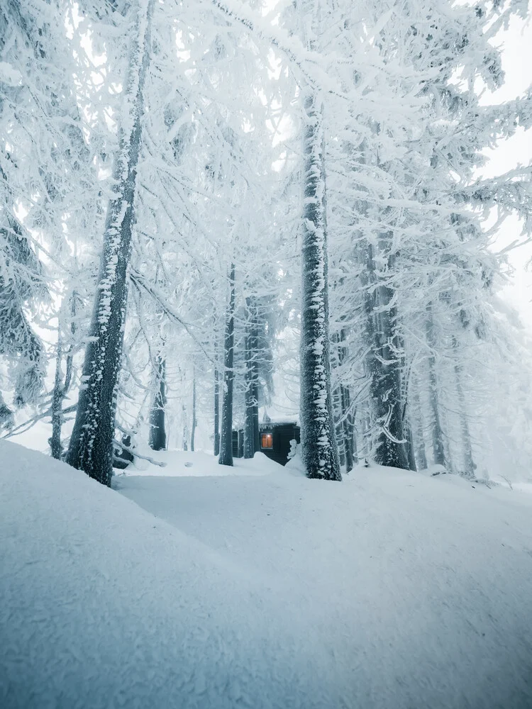 Wintertraum - fotokunst von Jan Pallmer