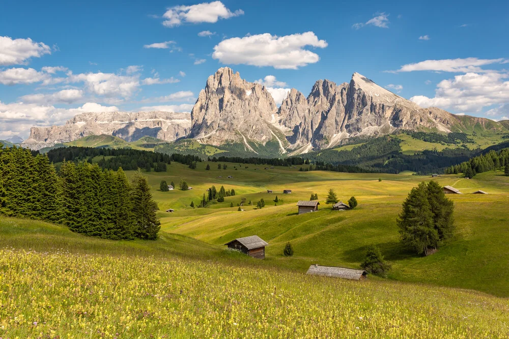 Sommer auf der Seiser Alm in Südtirol - fotokunst von Michael Valjak