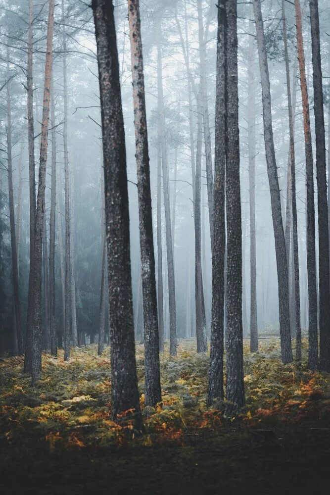 Standing in line - Fineart photography by Patrick Monatsberger