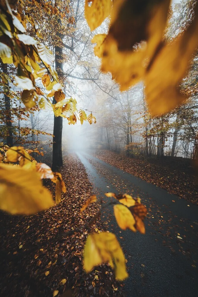 Herbstlaub Rahmen - fotokunst von Patrick Monatsberger