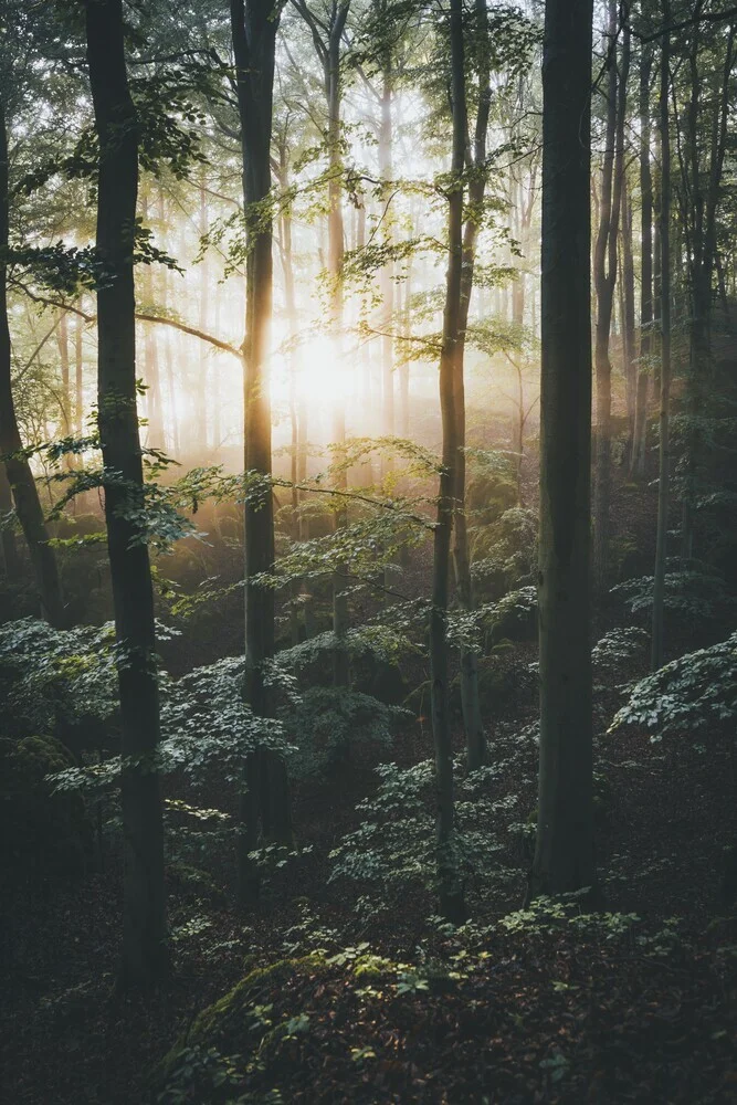 Licht im Dunkeln - fotokunst von Patrick Monatsberger