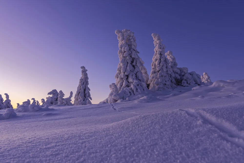 Verschneite Winterlandschaft auf dem Brocken im Nationalpark Harz - fotokunst von Christian Noah