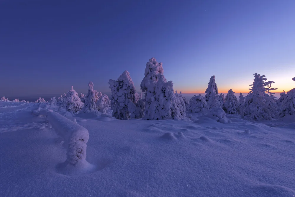 Winterliche blaue Stunde auf dem Brocken im Nationalpark Harz - fotokunst von Christian Noah