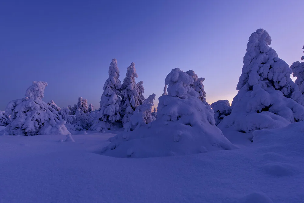 Wintry blue hour on the Brocken in the Harz National Park - Fineart photography by Christian Noah