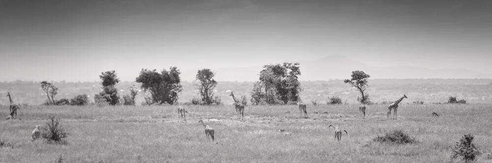 Panorama Giraffes Murchison Falls - Fineart photography by Dennis Wehrmann