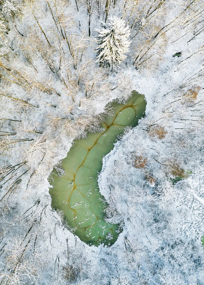 An alien pod - fotokunst von Giedra Bartas