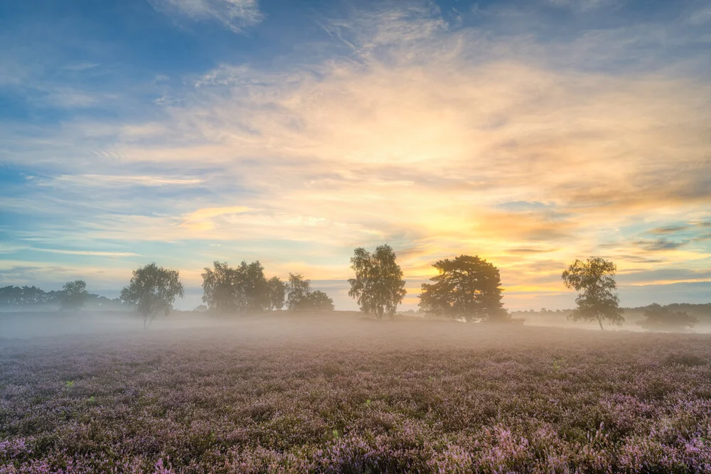 Nebliger Sonnenaufgang in der Westruper Heide - fotokunst von Michael Valjak