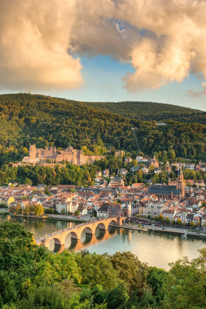 Heidelberg in the evening sun - Fineart photography by Michael Valjak