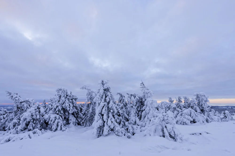 Winter im Nationalpark Harz - fotokunst von Christian Noah