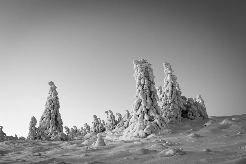 Snowy landscape in the Harz National Park - Fineart photography by Christian Noah
