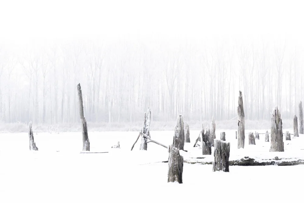 A foggy winter morning at the lake - Fineart photography by Christian Noah
