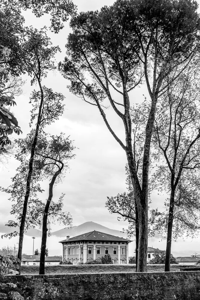 In a park in Lucca - fotokunst von Photolovers .