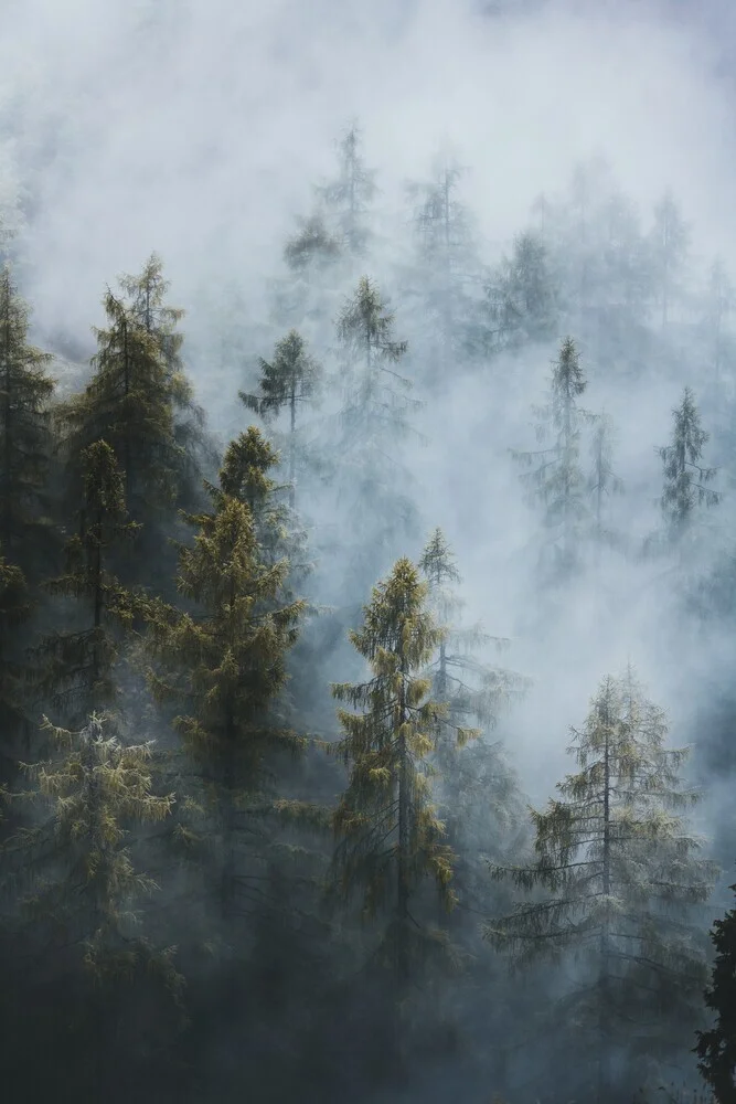 Eingenebelt - fotokunst von Patrick Monatsberger