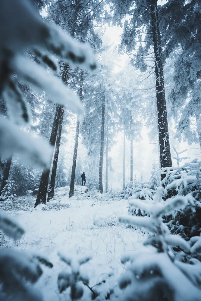 Der Wanderer im Eiswald - fotokunst von Patrick Monatsberger