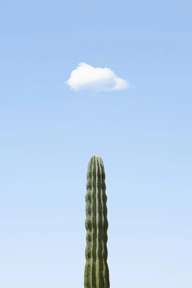 Growing - Fineart photography by Rupert Höller