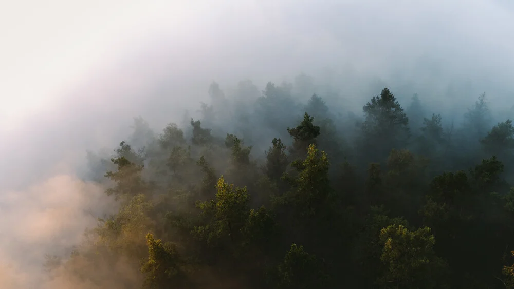 let there be light - fotokunst von Lukas Gleich