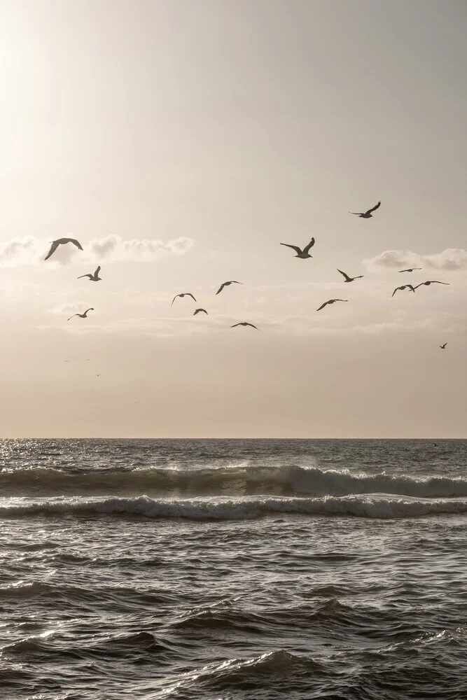 Birds and The Sea 3 - fotokunst von Mareike Böhmer