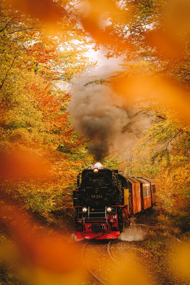 Harzer Schmalspurbahn durch das Herbstlaub gesehen - fotokunst von Christian Noah