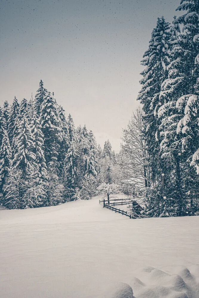 Winter Magic - fotokunst von Eva Stadler