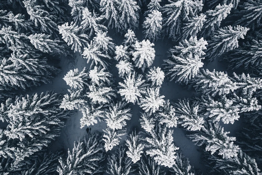 Winterwald Luftaufnahme - fotokunst von Oliver Henze