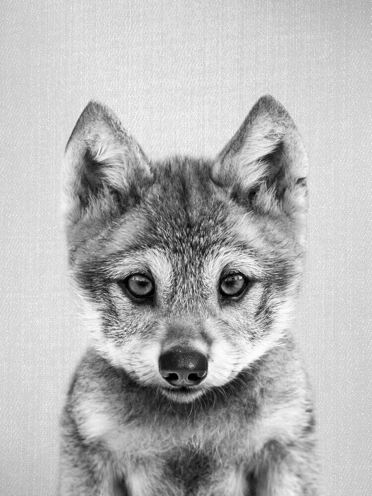 Baby Wolf - Black & White - fotokunst von Gal Pittel