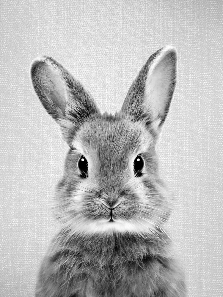 Baby Rabbit - Black & White - fotokunst von Gal Pittel