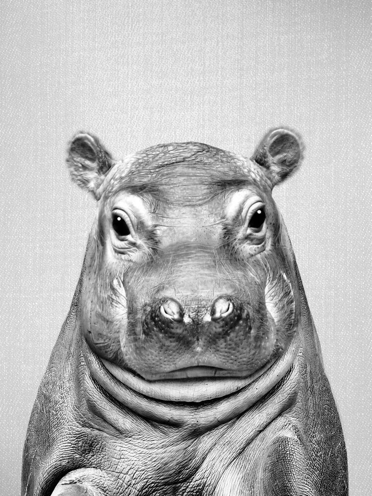 Baby Hippo - Black & White - fotokunst von Gal Pittel