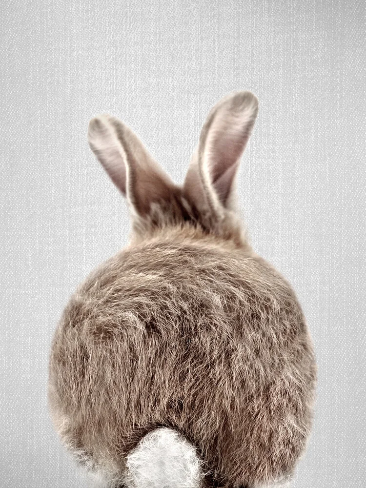 Baby Rabbit Tail - fotokunst von Gal Pittel